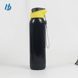 Folding water bottle ,500ml double wall painting metal water bottle