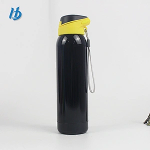 Folding water bottle ,500ml double wall painting metal water bottle
