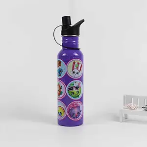 wholesale  double wall  insulated wine tumbler insulated water bottles cartoon pattern