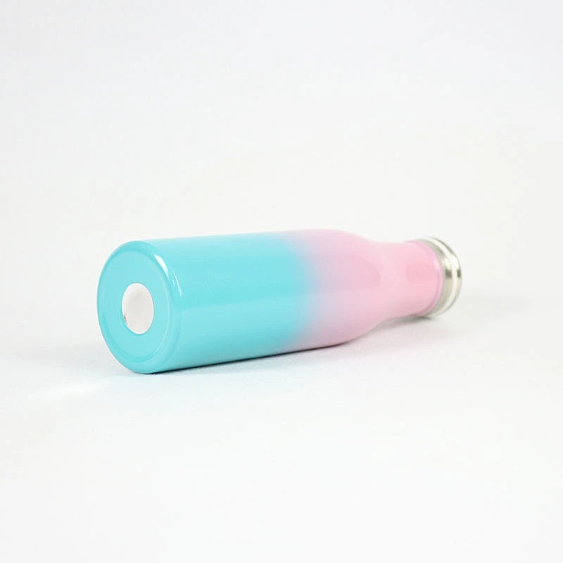 Hot sale water bottle,500ml double wall insulated water bottle custom customized logo