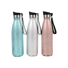 Vacuum Insulated Double Walled Stainless Steel Spray Painting Travel Bottle