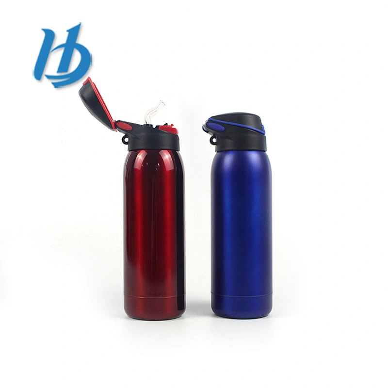 Wholesale double wall water bottle,500ml stainless steel spray bottle customized logo