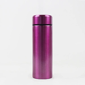 stainless steel Drinking water bottle,painting on the surface sport water bottle