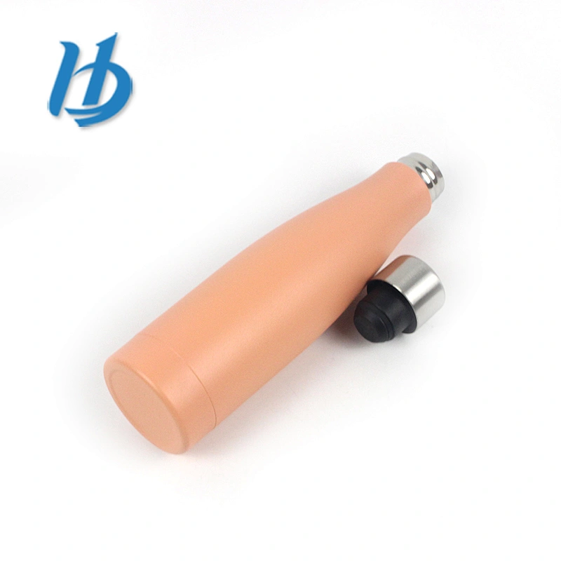 NEW design powder coated painting water bottle powder bottles