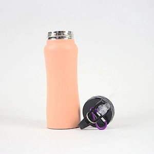 Fashionable stainless steel water bottle,thermo bottle double wall stainless steel spray bottle