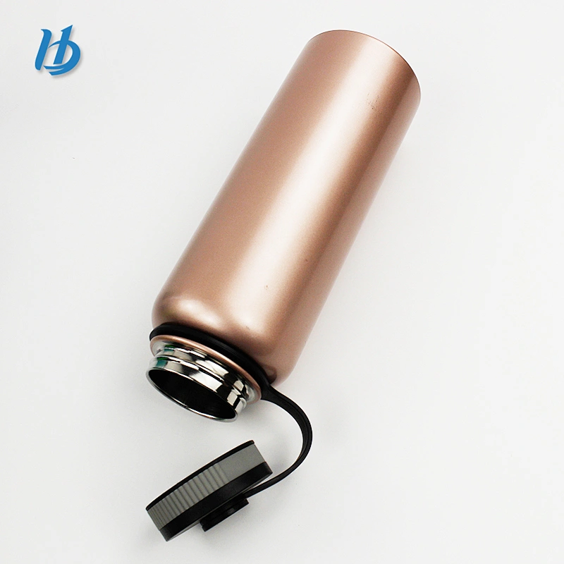 Foldable water bottle,cute water bottle painting vacuum insulated stainless steel