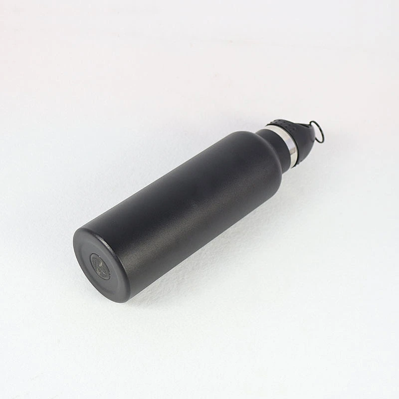 Hot sale water bottle,500ml double wall insulated stainless steel water bottle bpa free