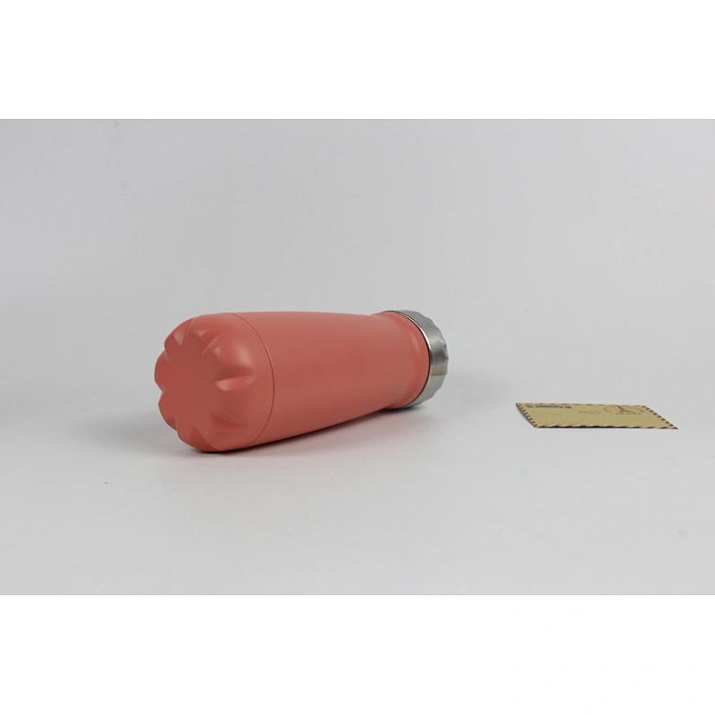 S/S Double Wall Powder Coated Sports Water Bottle with custom Logo