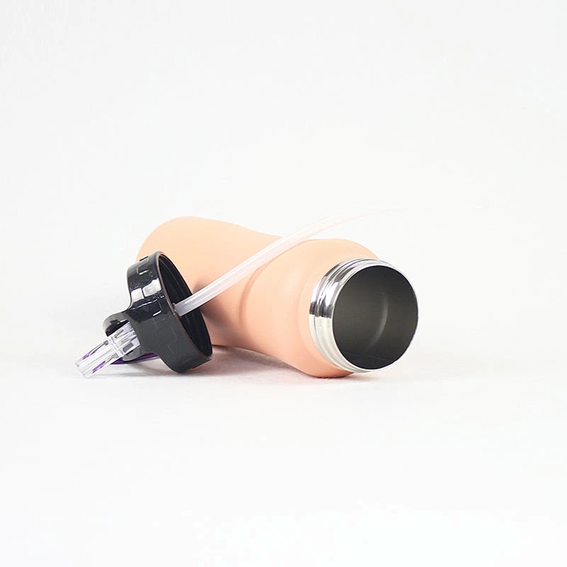 Fashionable stainless steel water bottle,thermo bottle double wall stainless steel spray bottle