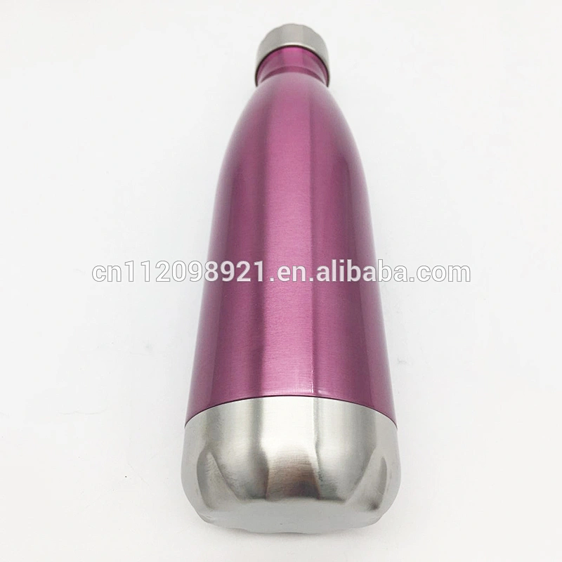 2017 Eco-friendly travel stainless steel cola bottle stainless steel water bottle with spray paint bottle