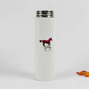 500ml Stainless Steel Vacuum Insulated Metal Flask Bottle Custom Logo