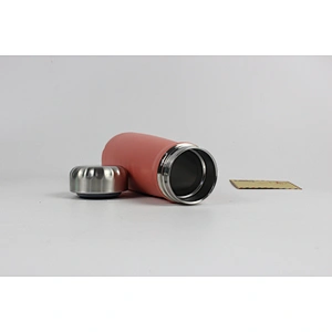 S/S Double Wall Powder Coated Sports Water Bottle with custom Logo