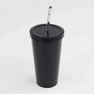 16oz Vacuum Double Wall Stainless Steel Insulated Coffee Mug with Metal Straw