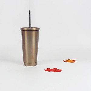 16oz Vacuum Double Wall Stainless Steel Insulated Coffee Mug with Metal Straw