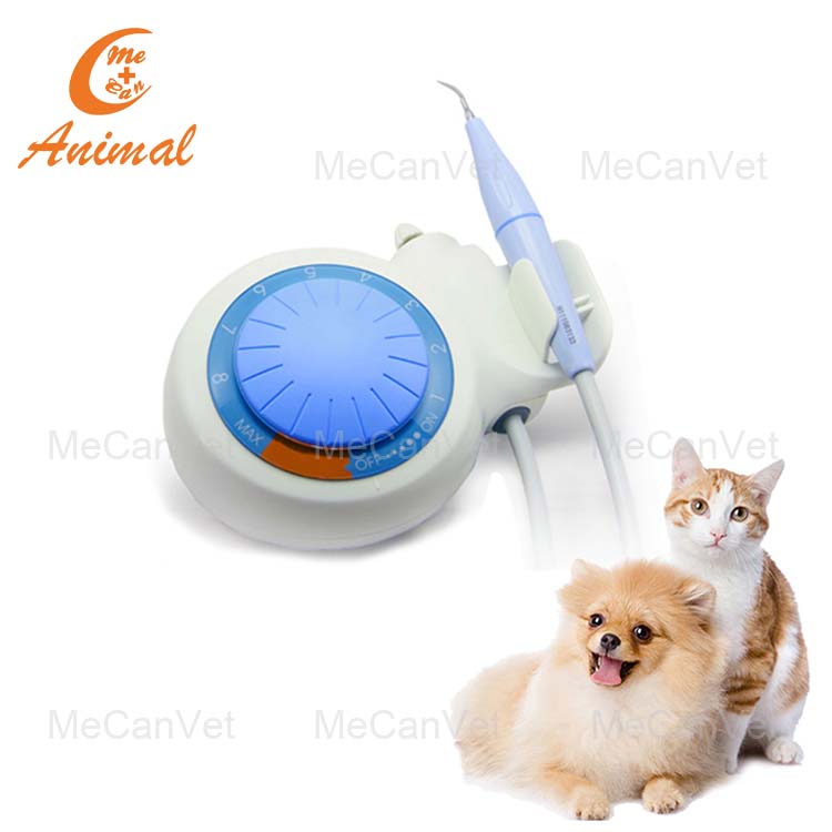H1 Handpiece Ultrasonic Scaler Veterinary