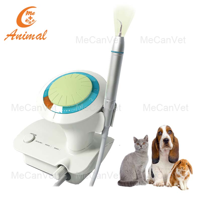 ultrasonic scaler veterinary use for dental
