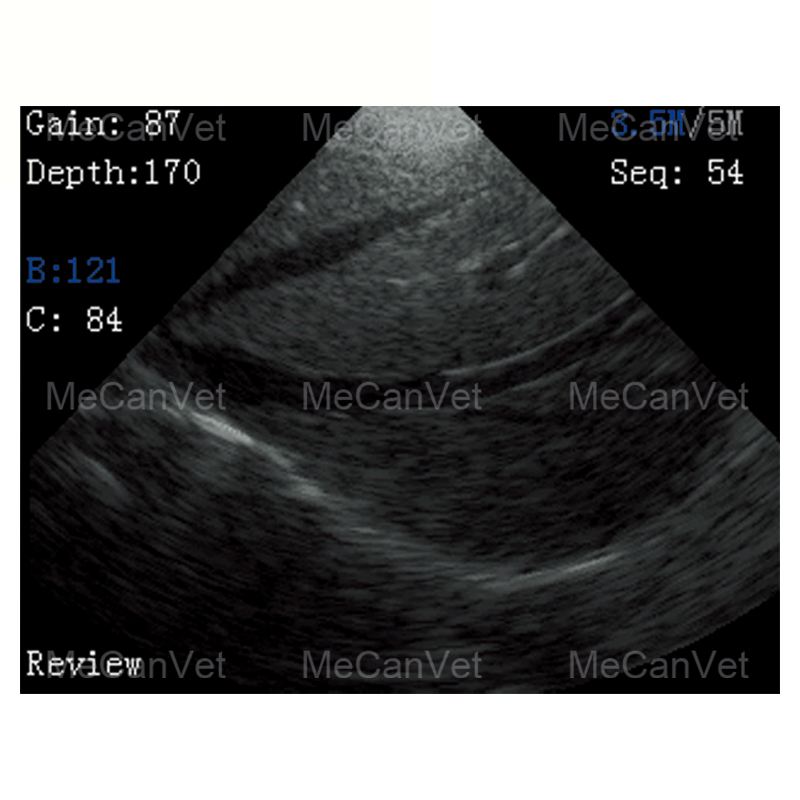 wireless probe ultrasound clear image-1