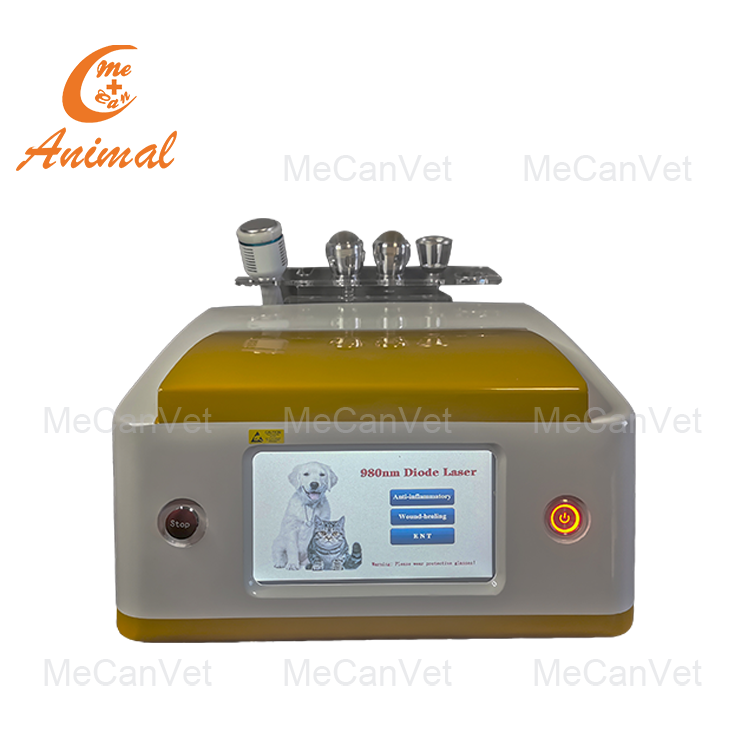 laser pet therapy Supplier