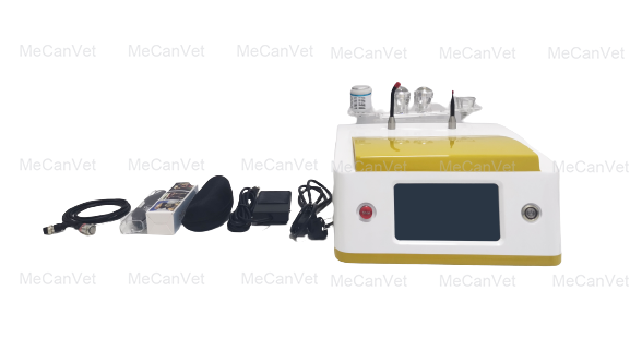 veterinary laser therapy equipment-Accessories