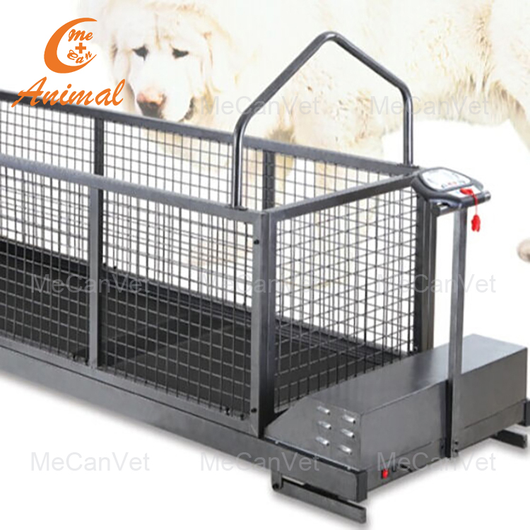 Pet Treadmill for Large Dogs