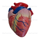 Heart(2 parts)-Heart(2 parts)