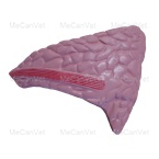 cheek meat -Anatomical Pig Model .