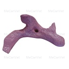 pancreas-Anatomical Pig Model