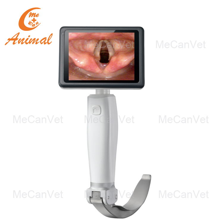 Reusable Video Laryngoscope