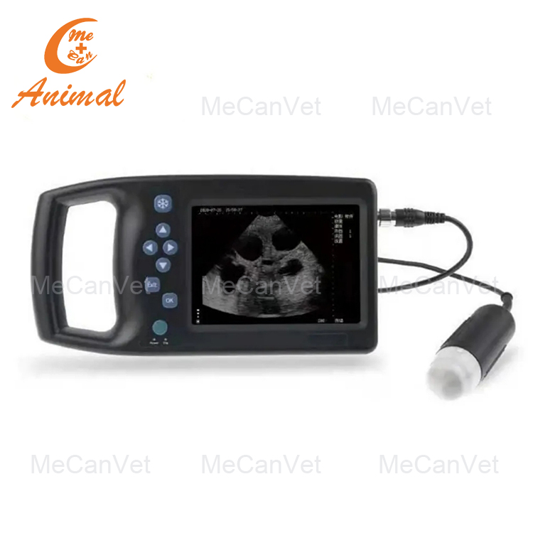 Introducing the Veterinary Ultrasound Scanner