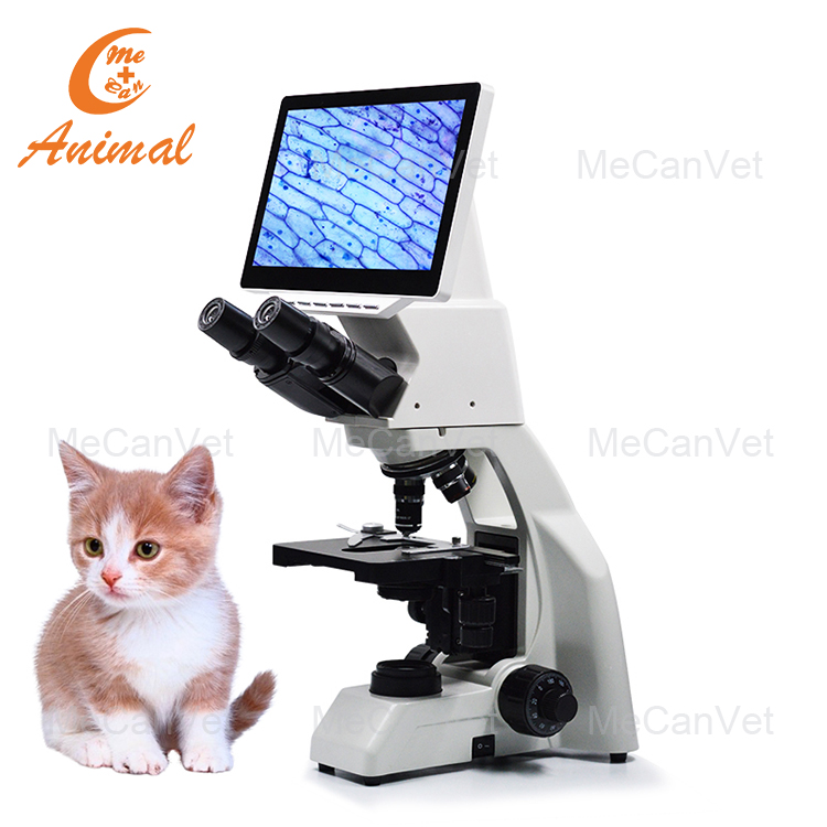 Veterinary Lab Microscope - Clinical