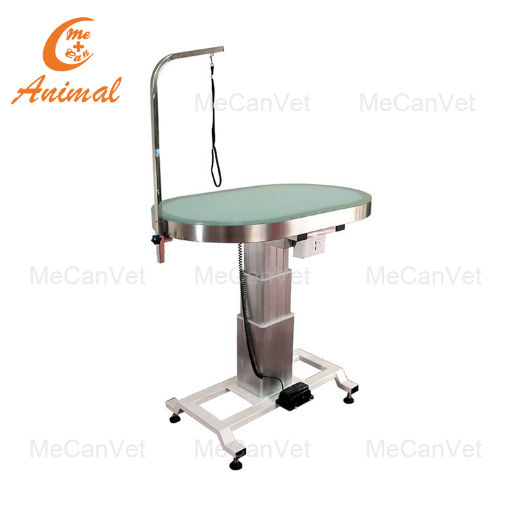 Electric Lifting Grooming Table