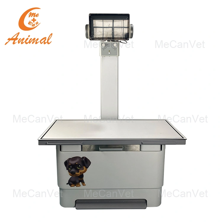 32KW Digital X-ray Veterinary Equipment