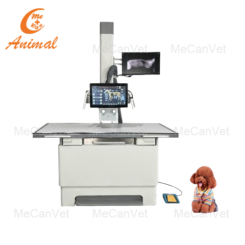 Dynamic Digital Radiography for Veterinary