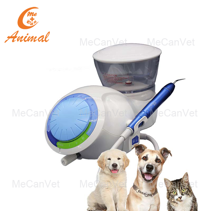 Auto-water Supply Dental Ultrasonic Scaler