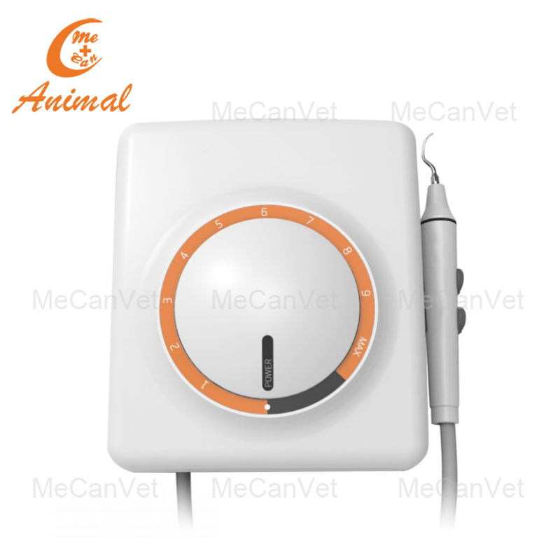 Auto-water Supply Dental Ultrasonic Scaler