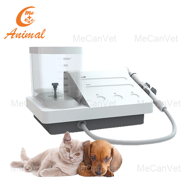 Ultrasonic Scaler for Dogs