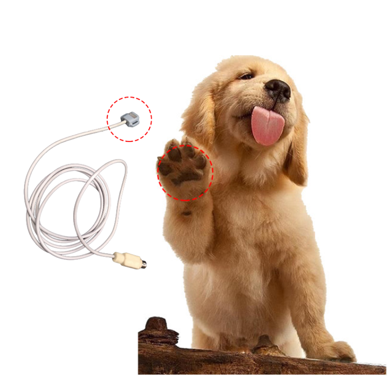 Portable Veterinary Vascular Doppler