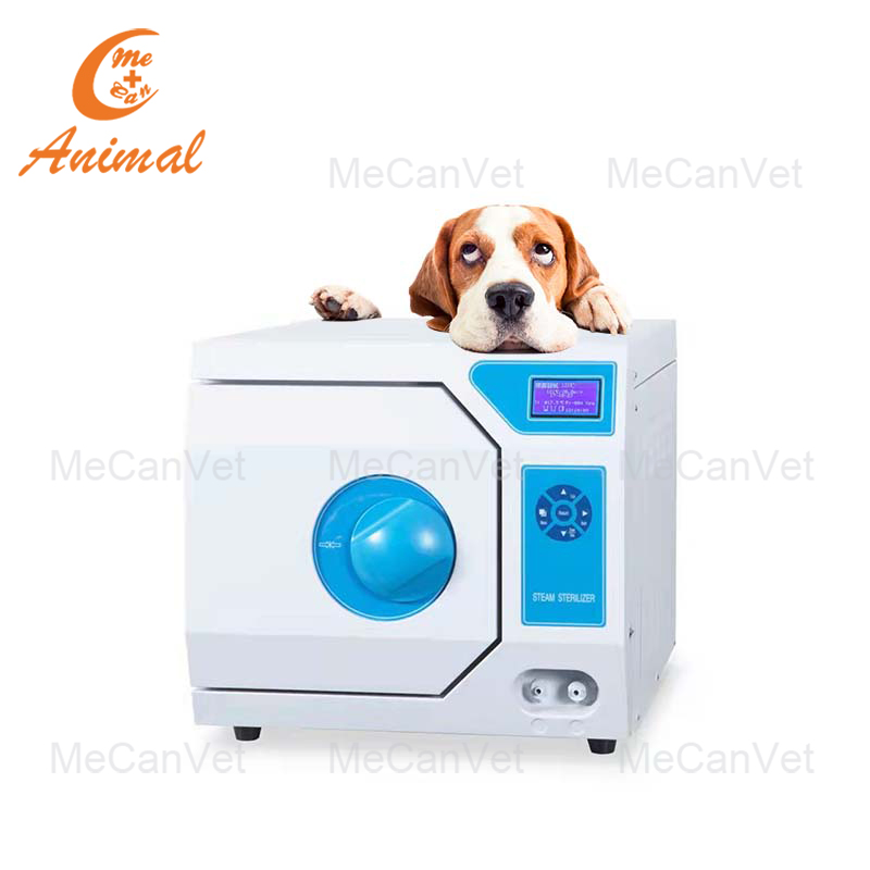 Dental Steam Sterilizer Machine