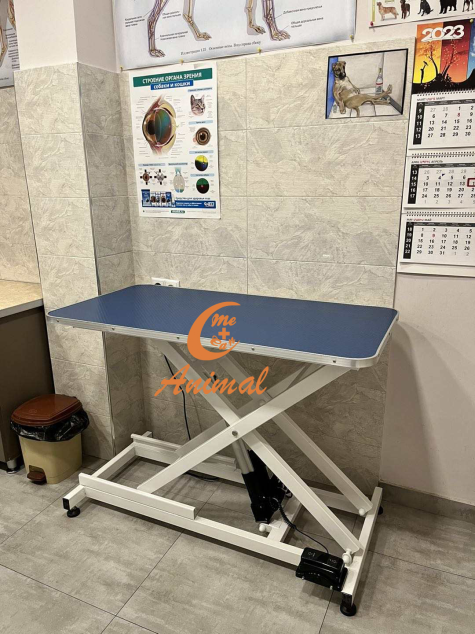 real photos on operating table,beauty table,Pet grooming, from customer