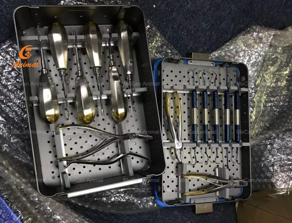 surgical instruments - basic surgical set for veterinary surgeries