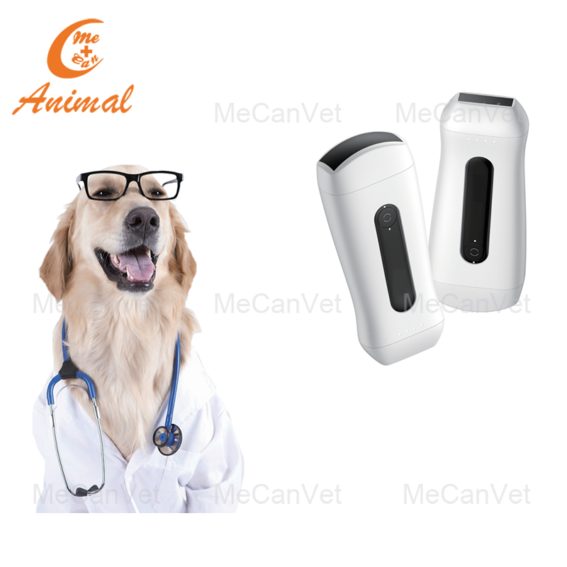 Wireless Ultraportable Color Doppler System