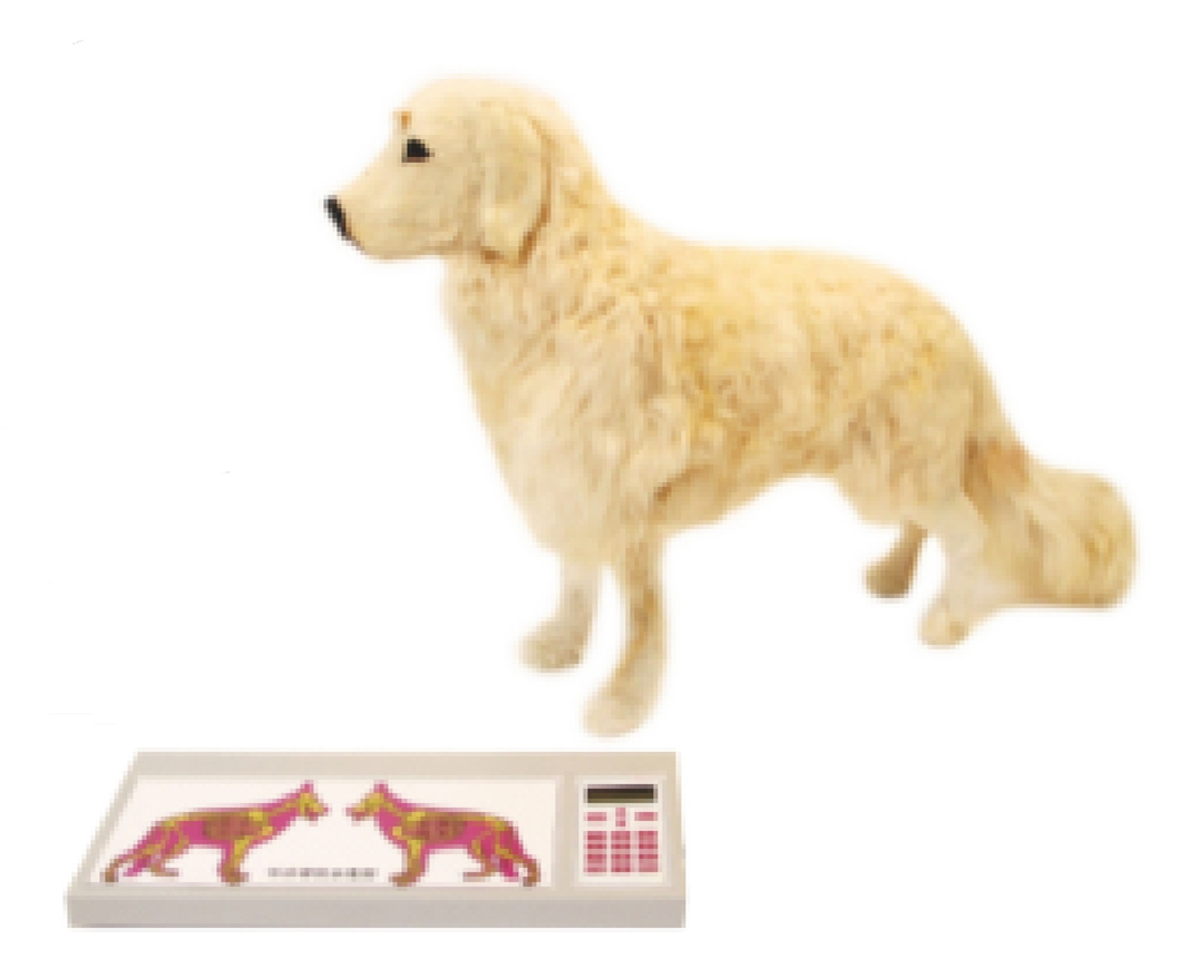 Canine CPR manikin
