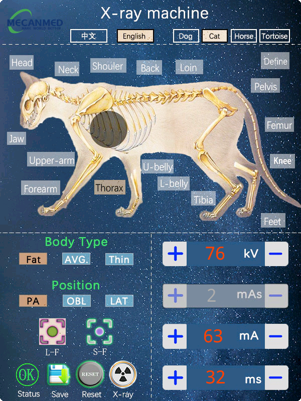 Veterinary imaging software interface showing species-specific protocols and cat anatomy presets.