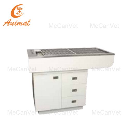 Veterinary Dental Table