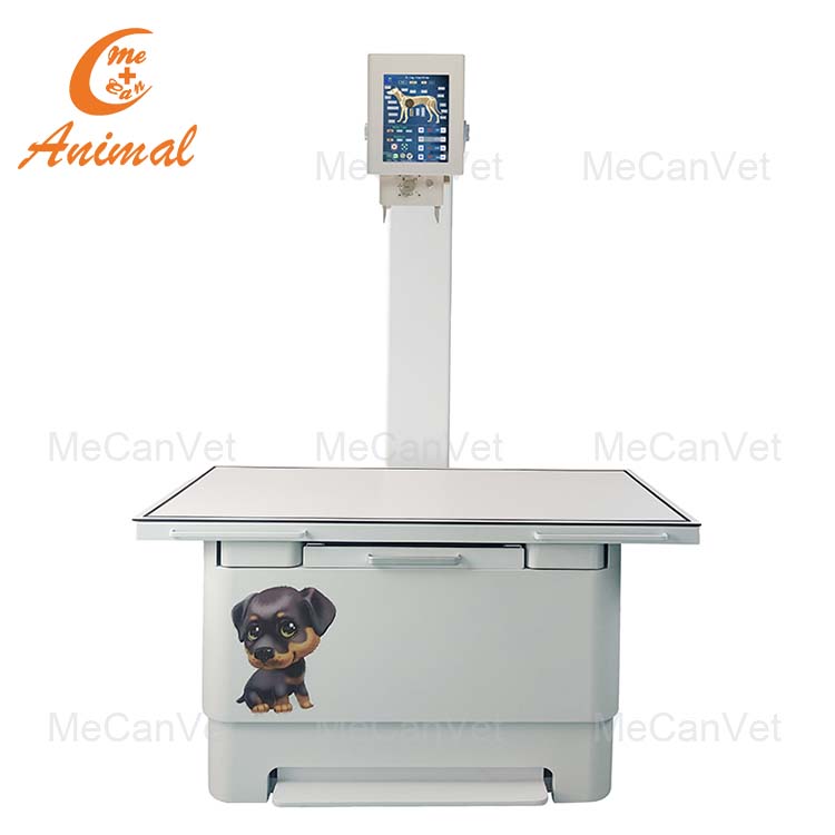 China Manufacture and Supplier of 5.6KW digital x ray machine for veterinary