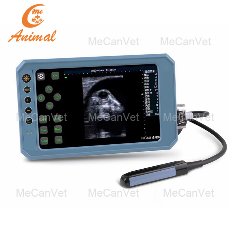 Portable veterinary ultrasound