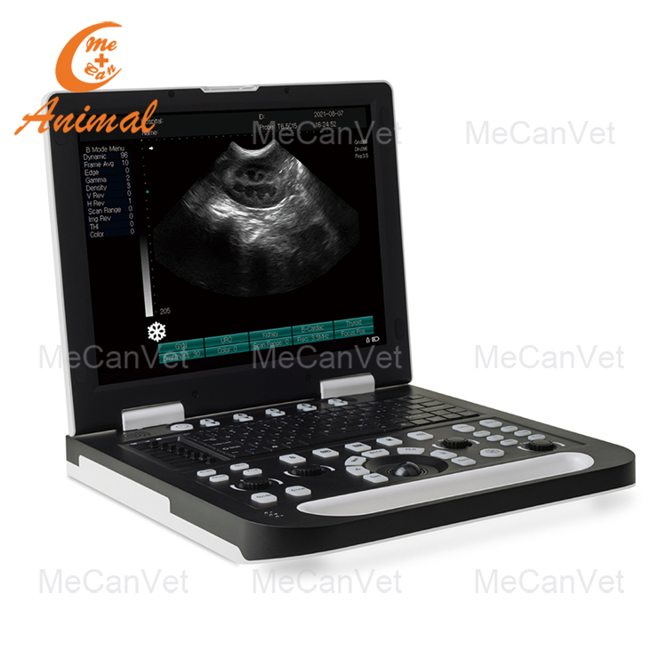 Vet Full Digital Laptop Ultrasound Scanner