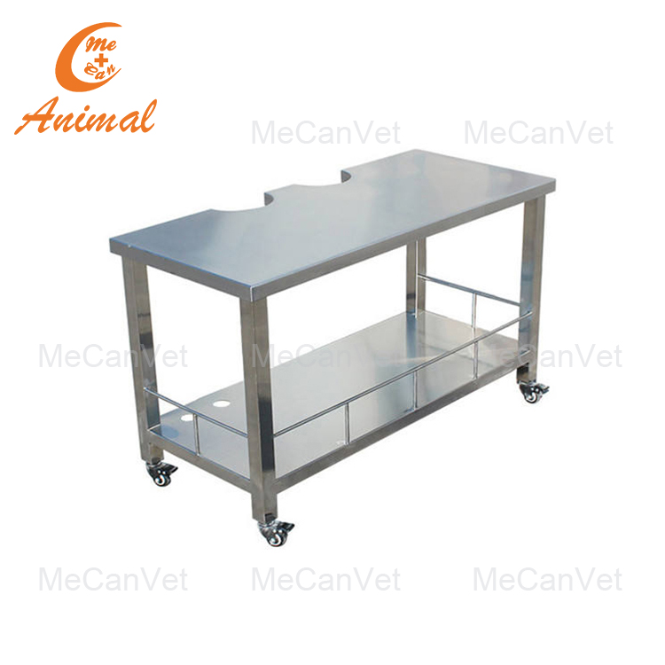 Veterinary Examination Table