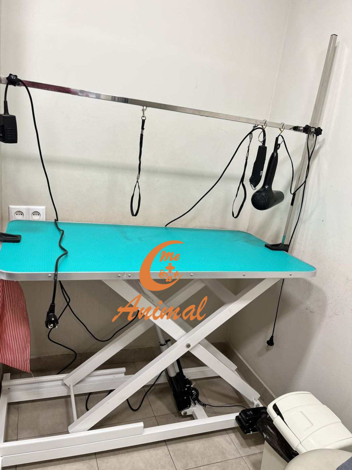 real photos on operating table,beauty table,Pet grooming, from customer