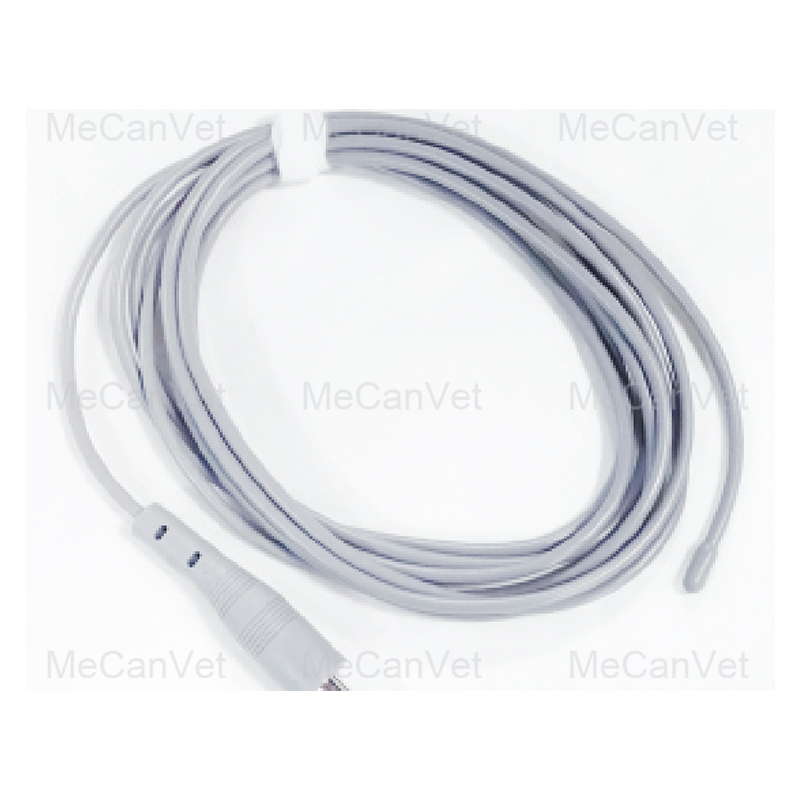 Temperature Probe (coelom)